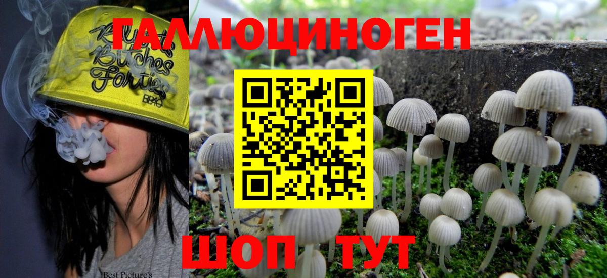 Сыктывкар  Псилоцибиновые грибы мухоморы  Вход с VPN 