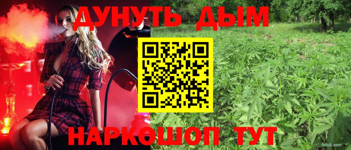 Канабис гибрид Сыктывкар